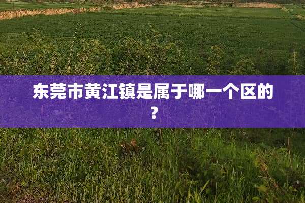 东莞市黄江镇是属于哪一个区的？