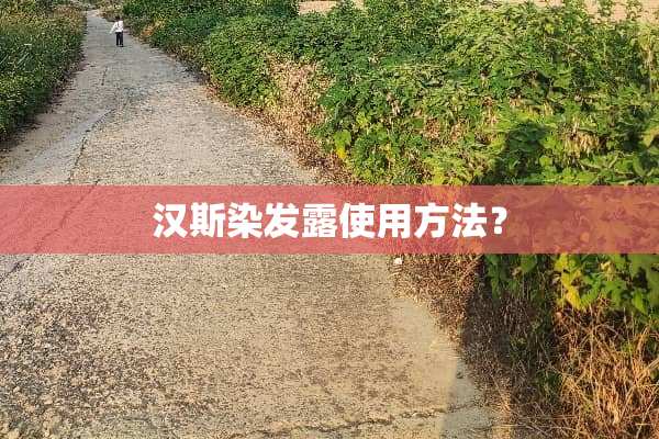 汉斯染发露使用方法？