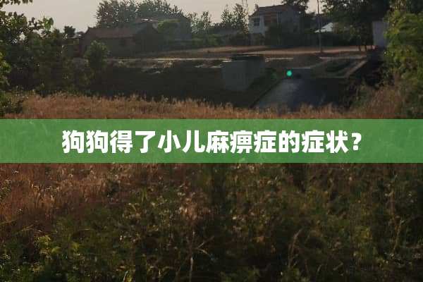 狗狗得了小儿麻痹症的症状？