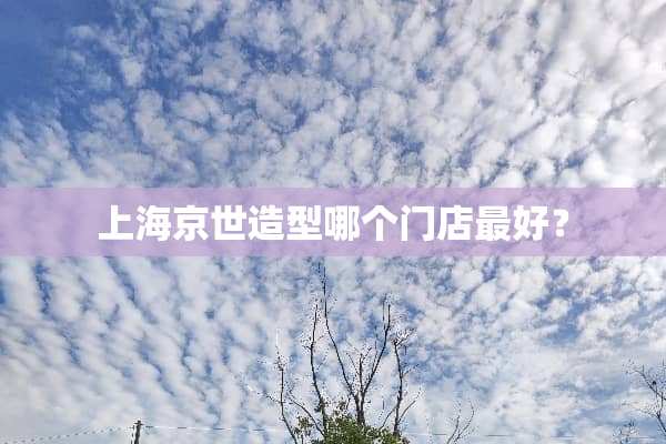 上海京世造型哪个门店最好？