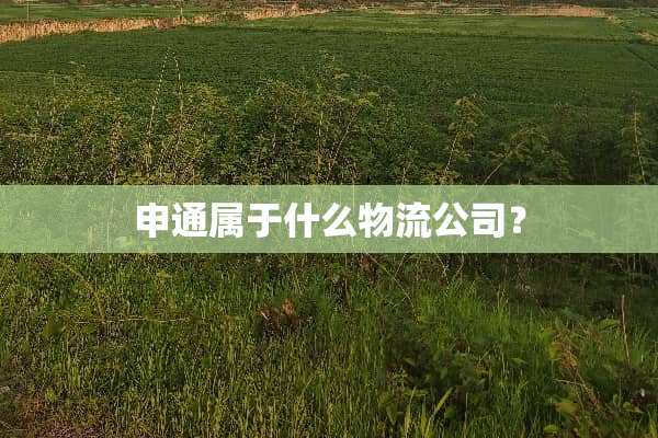 申通属于什么物流公司？