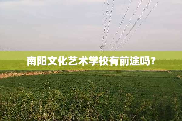 南阳文化艺术学校有前途吗？