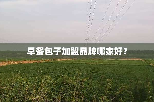 早餐包子加盟品牌哪家好？
