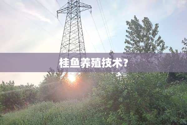 桂鱼养殖技术？