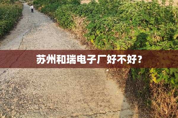 苏州和瑞电子厂好不好？