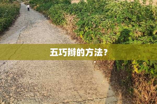 五巧辫的方法？