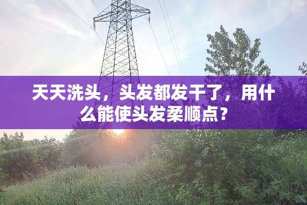 天天洗头，头发都发干了，用什么能使头发柔顺点？