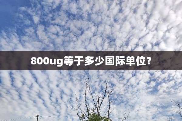 800ug等于多少国际单位？