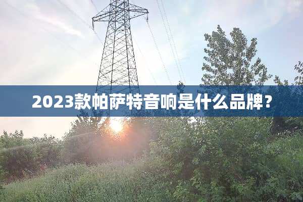 2023款***音响是什么品牌？