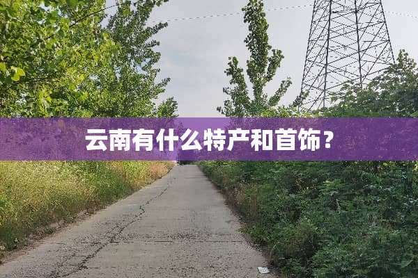 云南有什么特产和首饰？