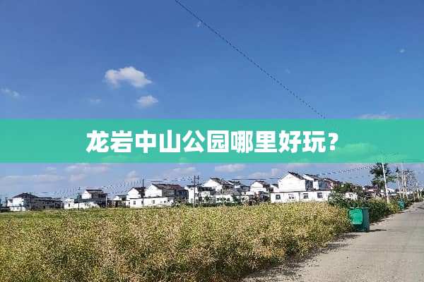 龙岩中山公园哪里好玩？