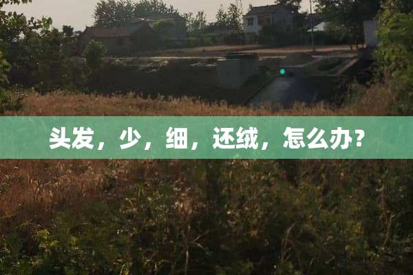 头发，少，细，还绒，怎么办？