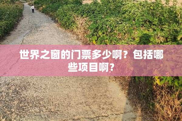 世界之窗的门票多少啊？包括哪些项目啊？