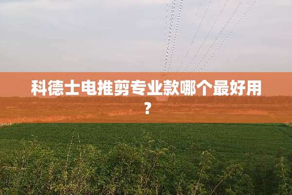 科德士电推剪专业款哪个最好用？