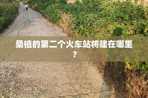 桑植的第二个火车站将建在哪里？