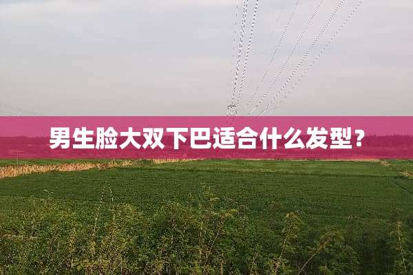 男生脸大双下巴适合什么发型？