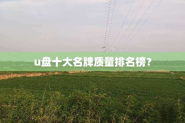 u盘十大名牌质量排名榜？
