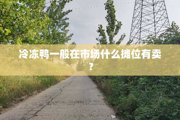 冷冻鸭一般在市场什么摊位有卖？