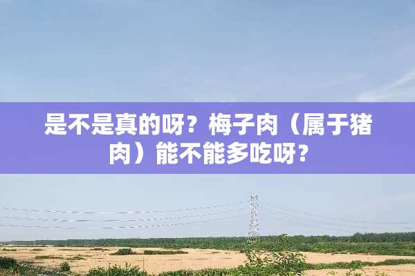 是不是真的呀？梅子肉（属于猪肉）能不能多吃呀？