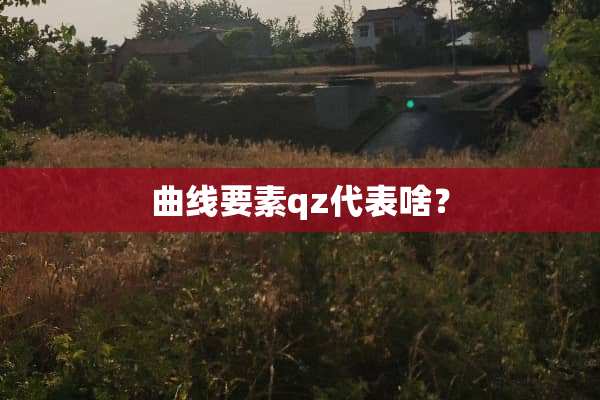 曲线要素qz代表啥？