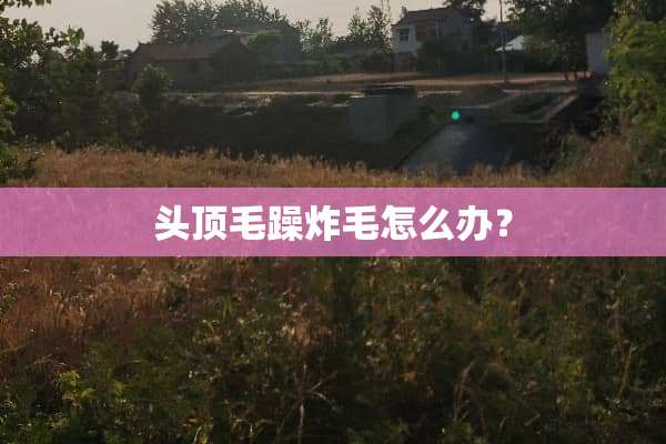 头顶毛躁炸毛怎么办？