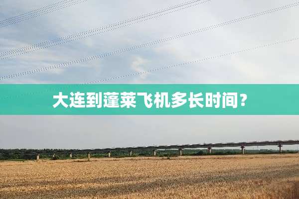 大连到蓬莱飞机多长时间？