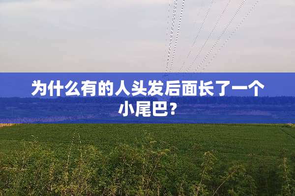 为什么有的人头发后面长了一个小尾巴？