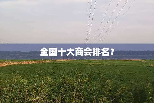 全国十大商会排名？