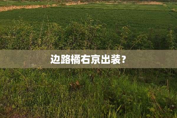 边路橘右京出装？