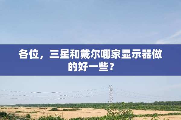 各位，三星和戴尔哪家显示器做的好一些？