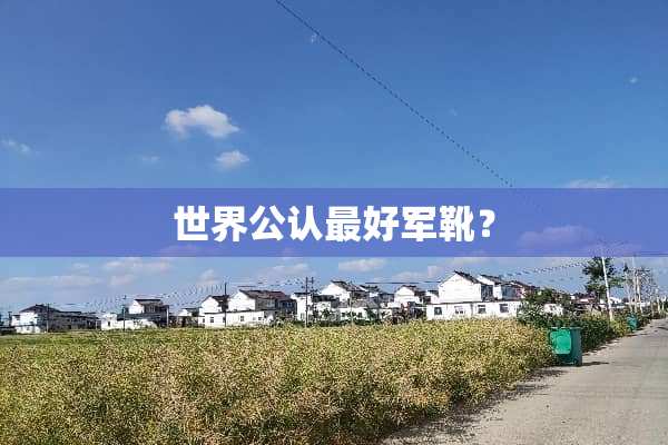 世界公认最好军靴？