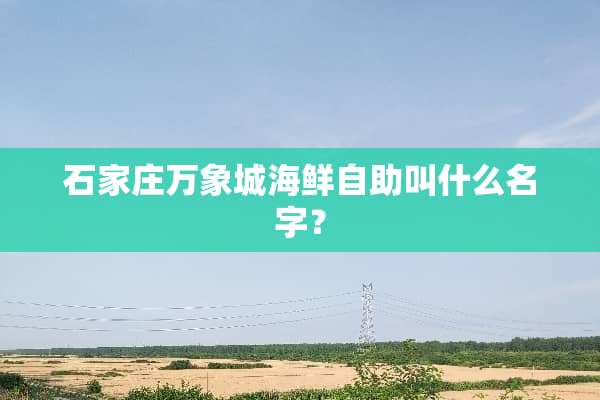 石家庄万象城海鲜自助叫什么名字？