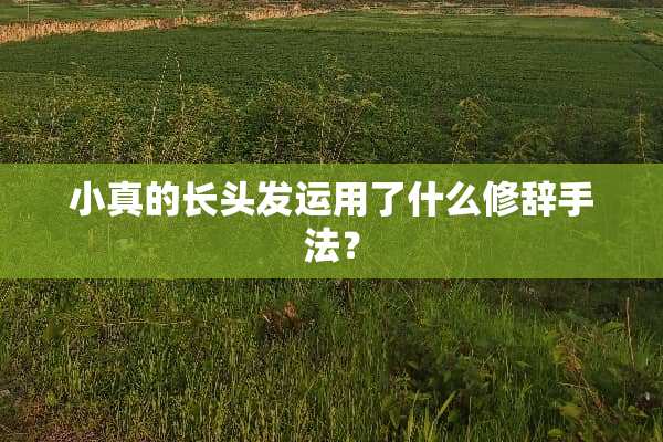 小真的长头发运用了什么修辞手法？