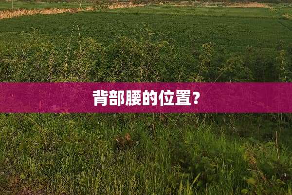 背部腰的位置？