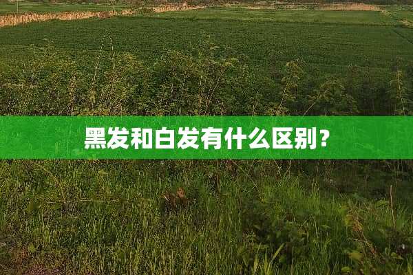 黑发和白发有什么区别？