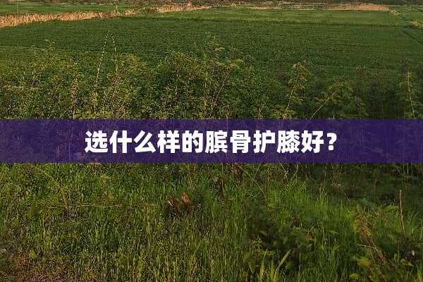 选什么样的膑骨护膝好？