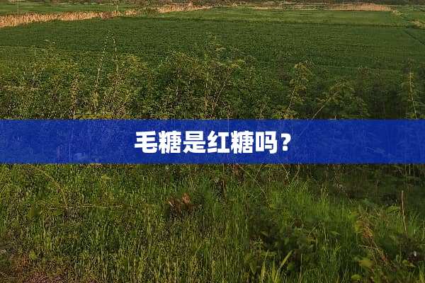 毛糖是红糖吗？