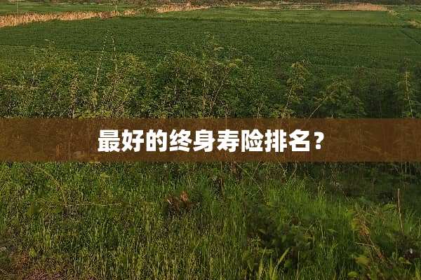 最好的终身寿险排名？