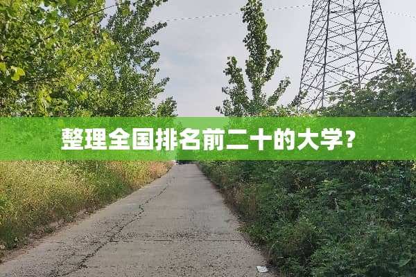 整理全国排名前二十的大学？