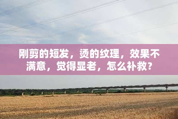 刚剪的短发，烫的纹理，效果不满意，觉得显老，怎么补救？