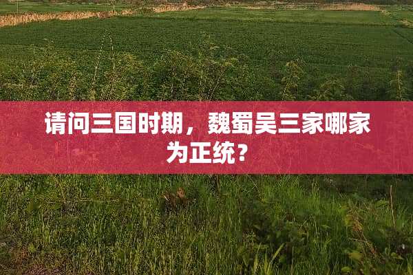 请问三国时期，魏蜀吴三家哪家为正统？