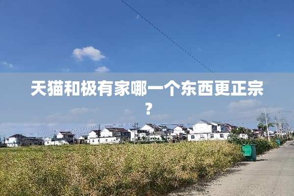 天猫和极有家哪一个东西更正宗？