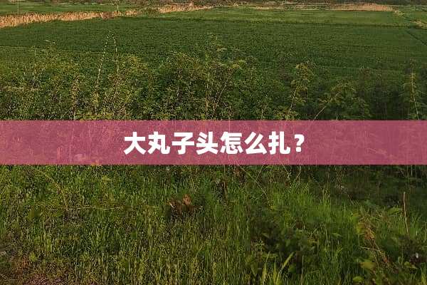 大丸子头怎么扎？