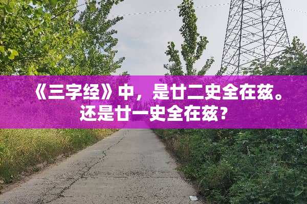 《三字经》中，是廿二史全在兹。还是廿一史全在兹？