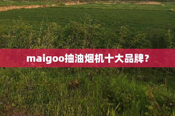 maigoo抽油烟机十大品牌？