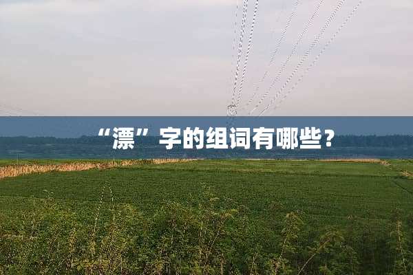 “漂”字的组词有哪些？