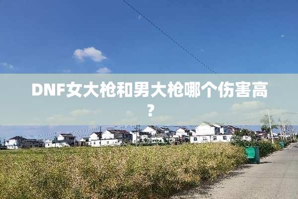 DNF女大*和男大*哪个伤害高？