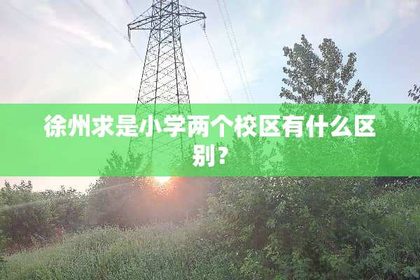 徐州求是小学两个校区有什么区别？