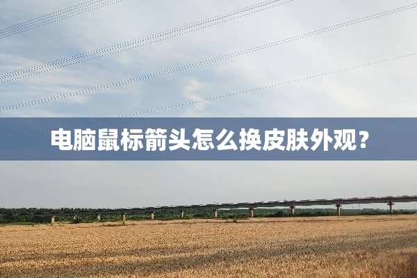 电脑鼠标箭头怎么换皮肤外观？