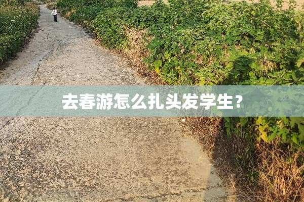去春游怎么扎头发学生？